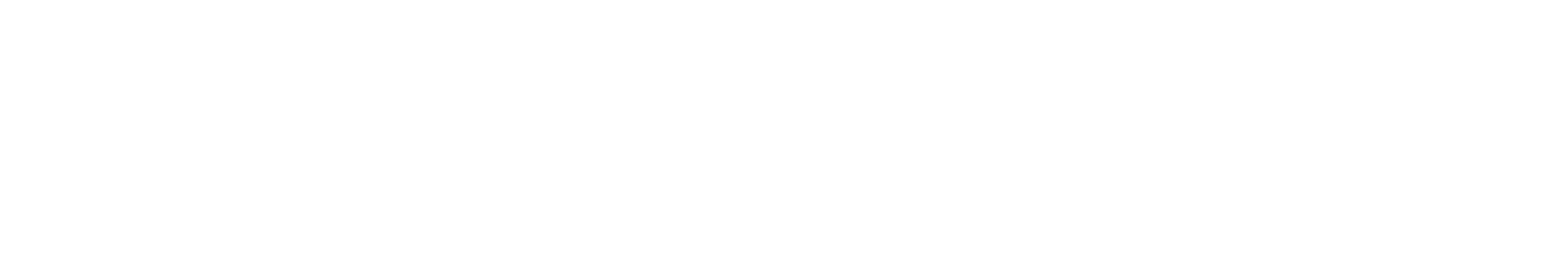 logo białe notapress